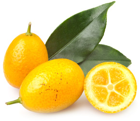 Kumquat - citrusový plod podobný mandarince
