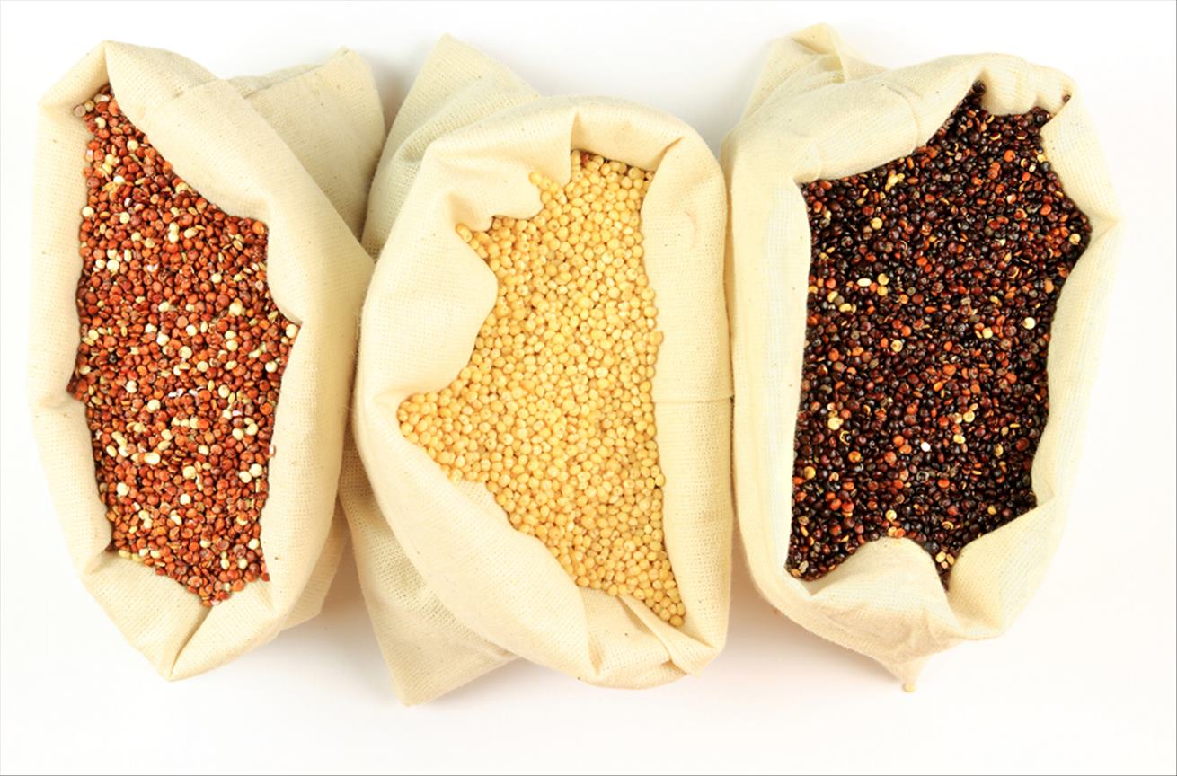 Quinoa, merlík chilský