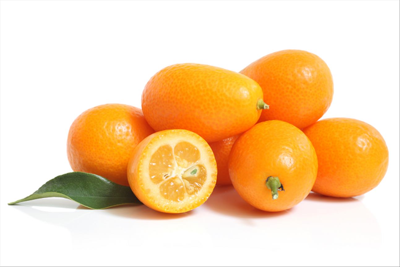 Kumquat